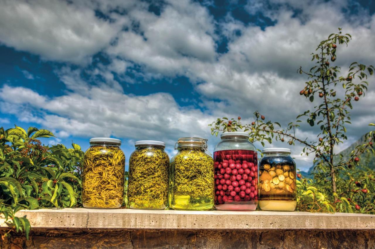 Вилла Tourist Farm Kranjc Кобарид Экстерьер фото